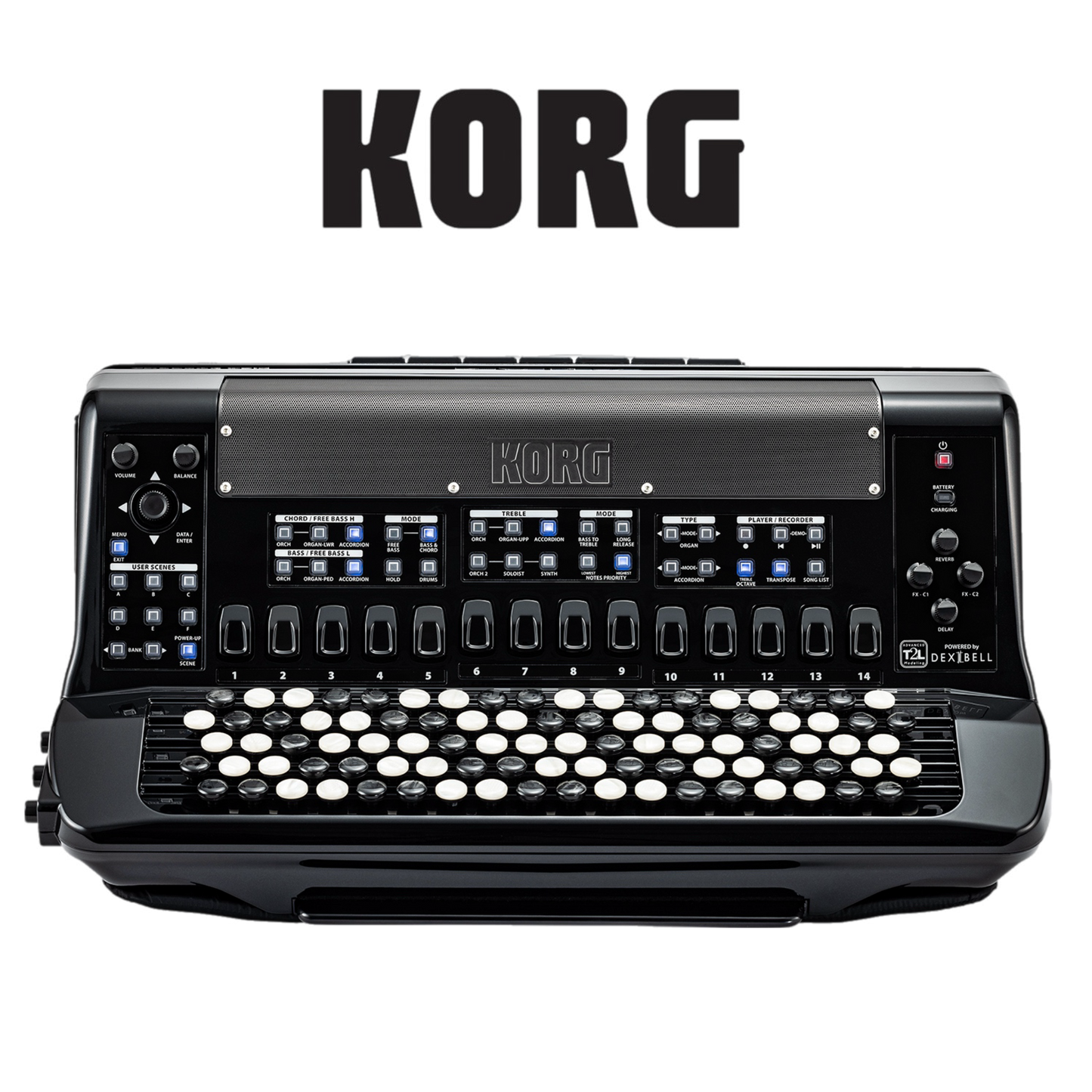 Korg - FISA SUPREMA bouton