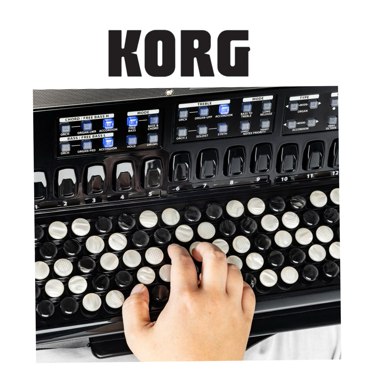 Korg - FISA SUPREMA bouton