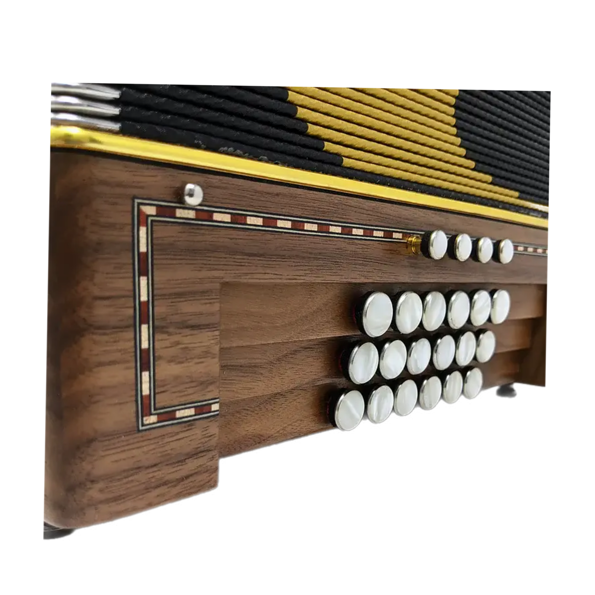 Accordéon Diatonique Castagnari Handry 18 en Bois de Noyer Vu des Basses