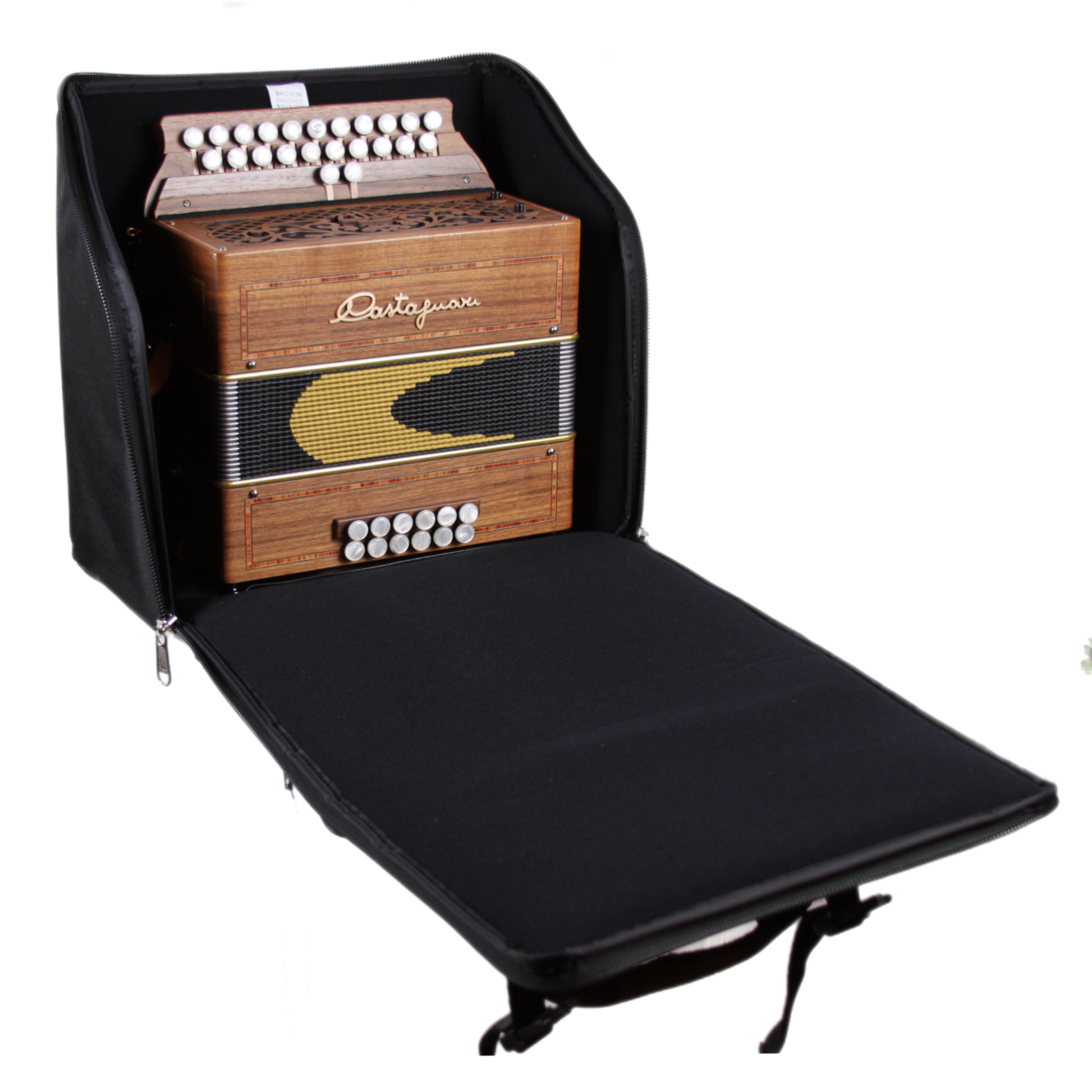 Housse D'Accordéon 12 Basses avec un Accordéon Diatonique 12 basses à l'Intérieur